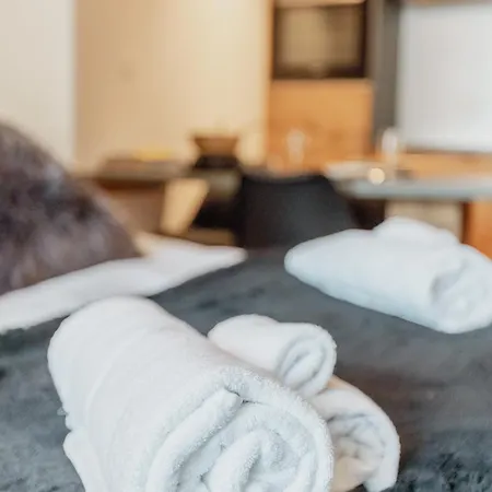 Renove Et Elegant En Plein Centre