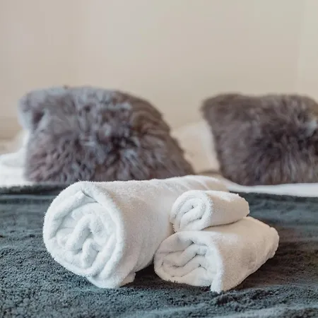 Renove Et Elegant En Plein Centre Daire Crans-Montana